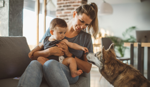 The Incredible Power of Dog Bonding with Humans