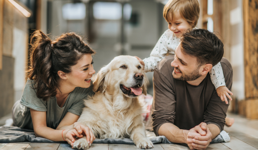 The Incredible Power of Dog Bonding with Humans