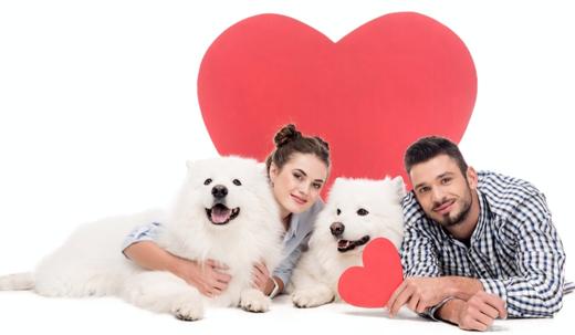 5 Ways to Make Valentine's Day Special for Your Dog