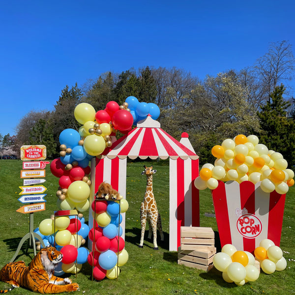Carnival Circus Party Balloons, installation available for Vancouver BC