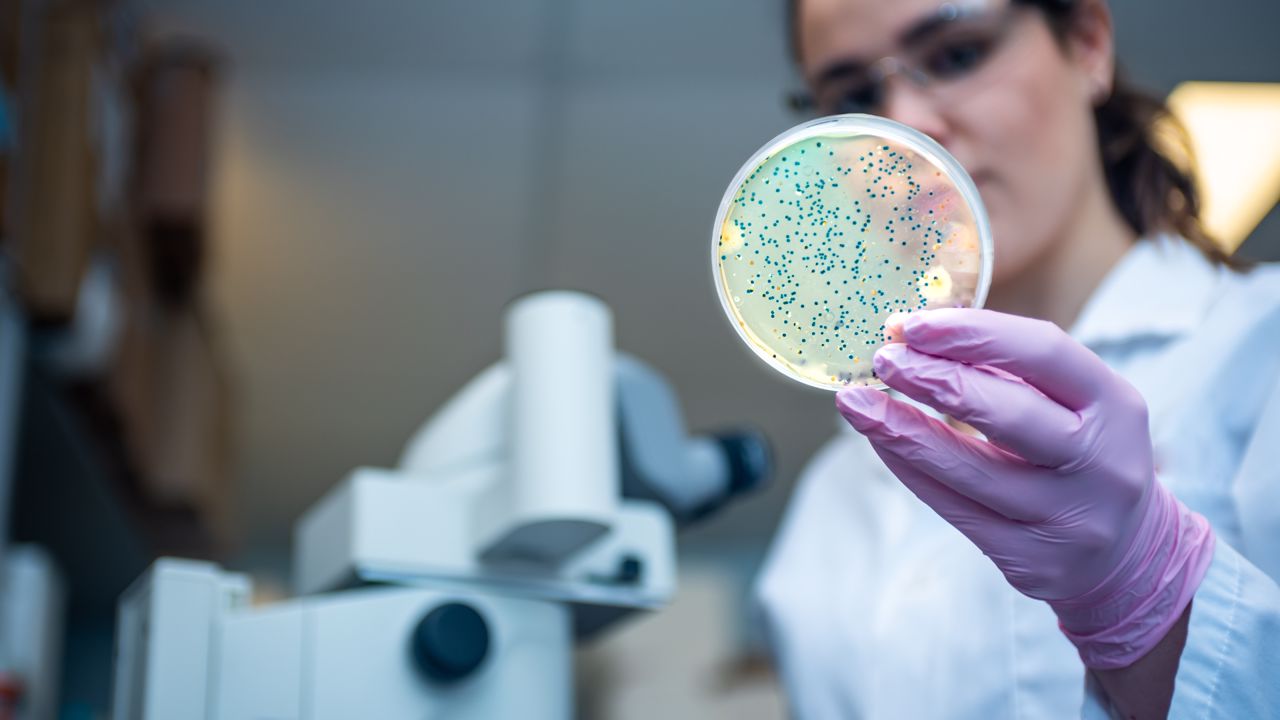 Mulher executando um estudo sobre microbiotas