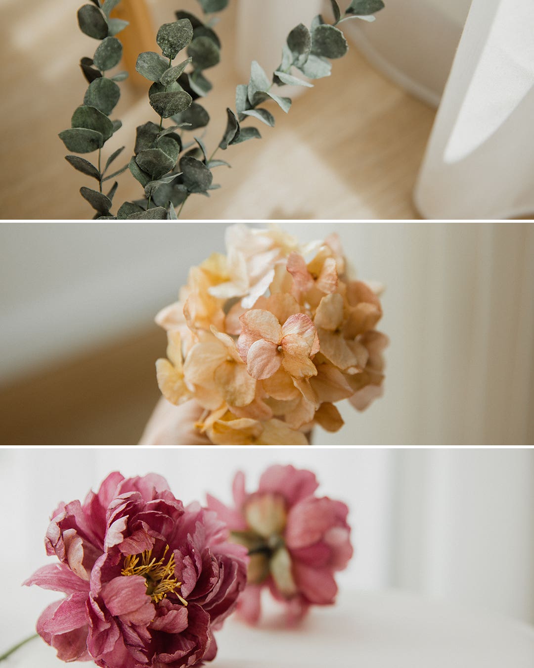 Wafer Paper Flowers: How to Make and Store Them [+Tutorials] – Winifred  Kristé Cake & Classes