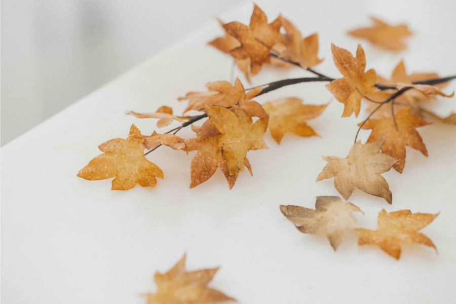 Wafer paper maple leaves