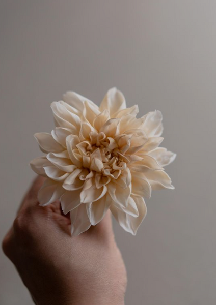 winifred kriste cake gumpaste dahlia