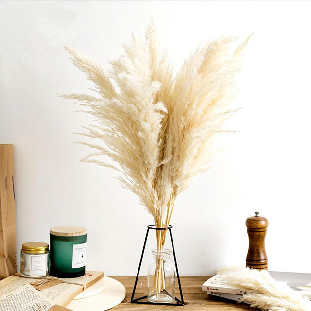 pampas grass decor india