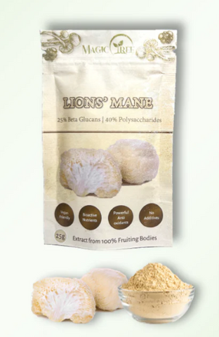 MagicTree Superfood Lion's Mane Supplements, sometimes called a medicinal mushroom, an alternative medicine with anecdotal evidence for its benefits.