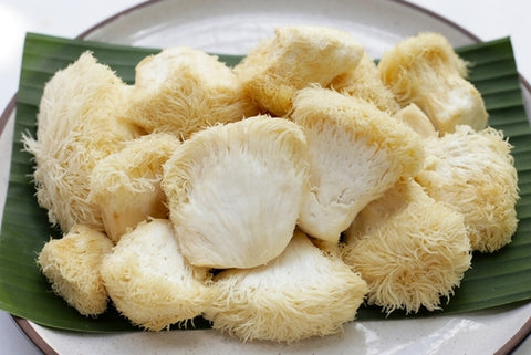 Fresh lion's mane mushroom on white background. Can you look to Chinese medicine for alternative treatments for ADHD?