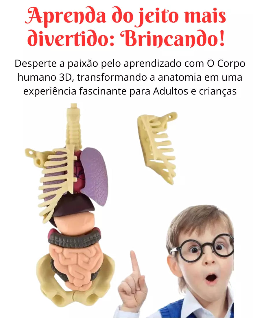 brinquedos educativos