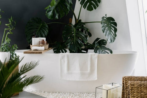 Idée de décoration exotique : les plantes tropicales dans la salle de bain de style exotique