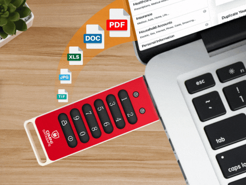 Animation of files moving into Omni DataSafe USB