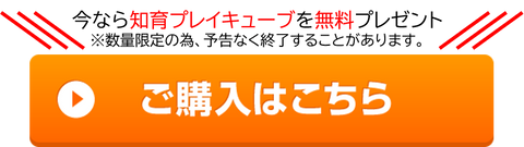 購入、詳細、知育