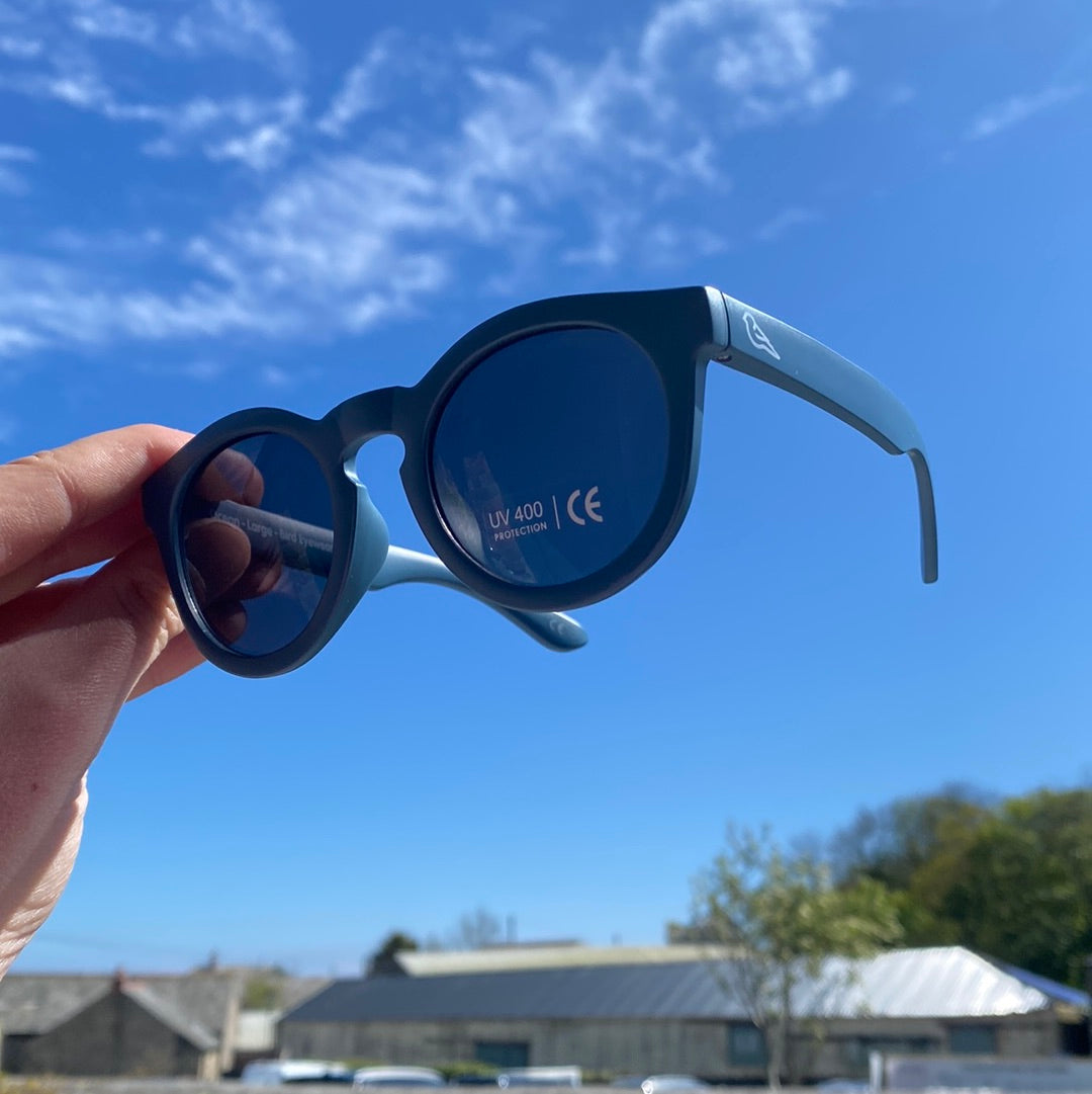 Children's Blue Eco Sunglasses