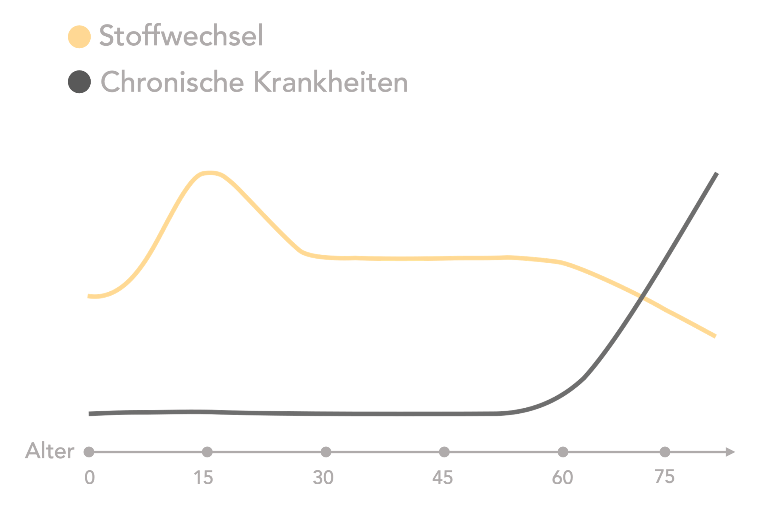 Stoffwechsel im Alter