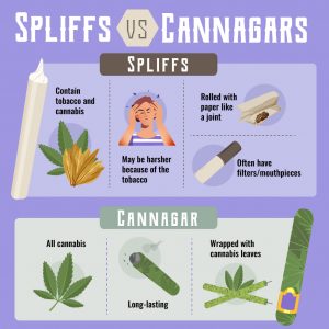 spliff vs joint