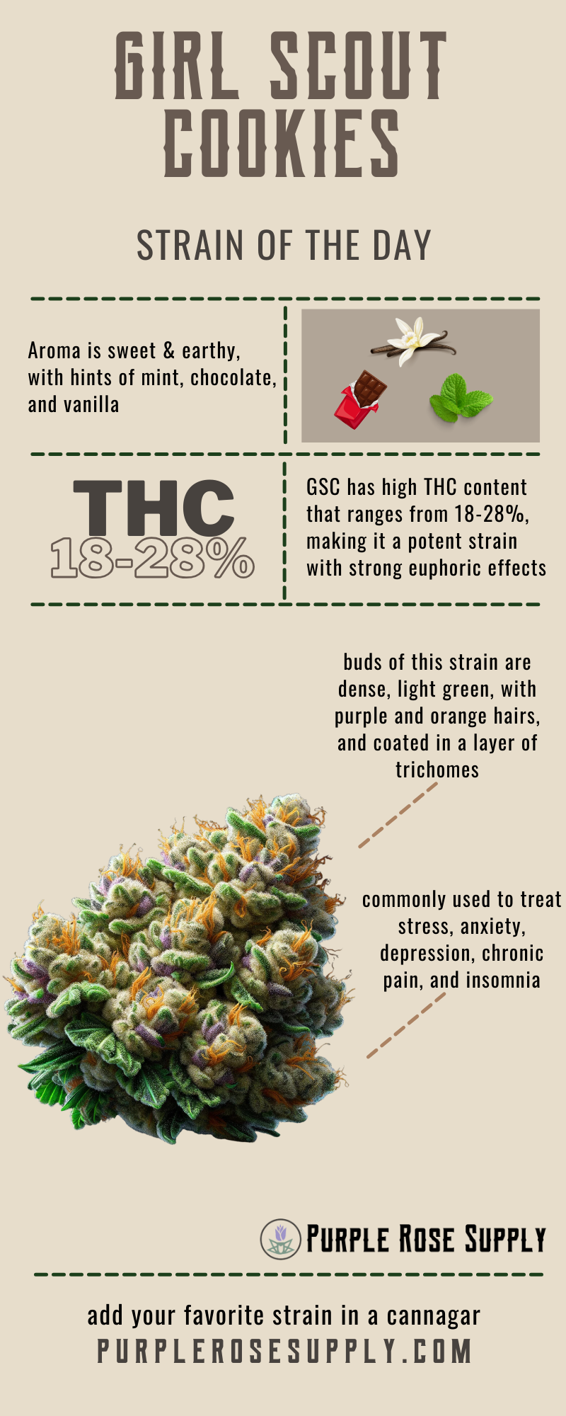 girl scout cookies strain infographic with thc content, aroma and notes, and effects