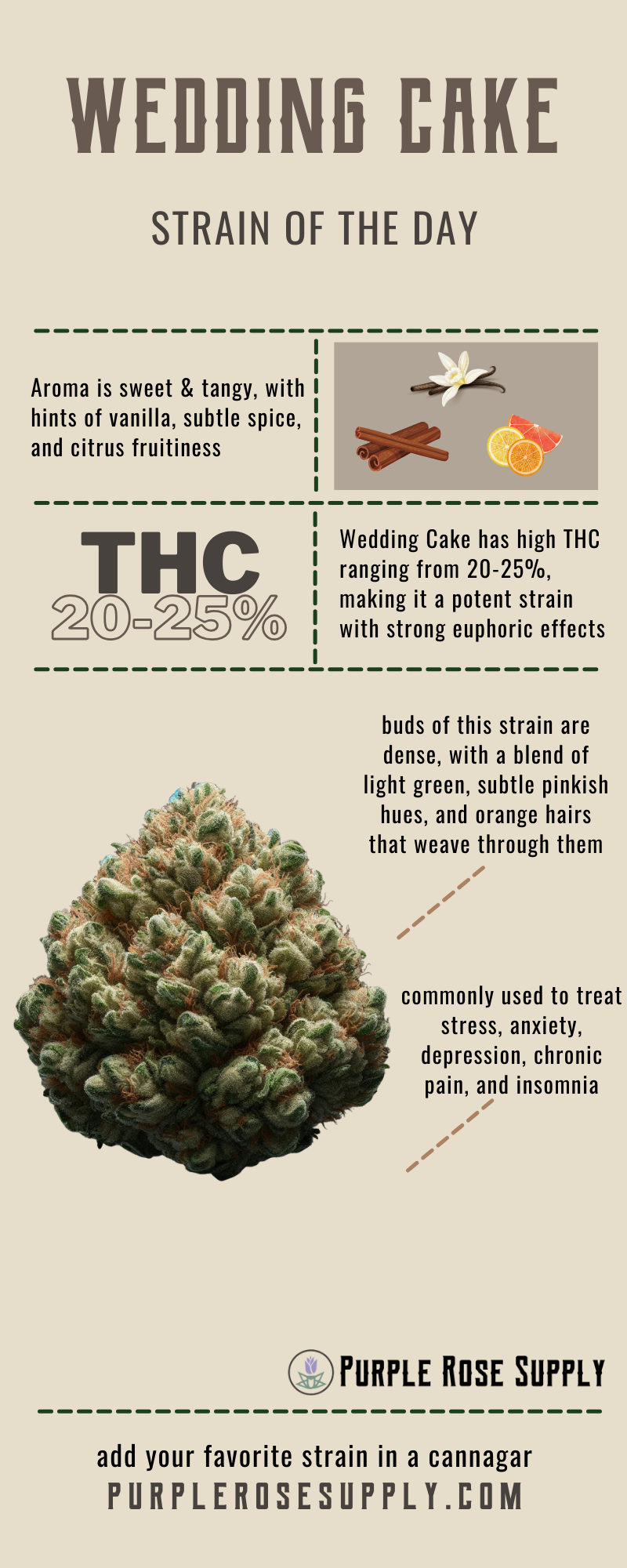 wedding cake strain infographic with thc content, aroma and notes, and effects