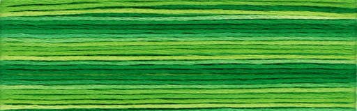 Cosmo Seasons Variegated Embroidery Floss 8024 Dark Greens