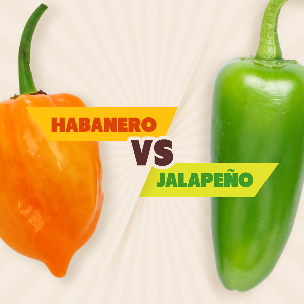 Habanero vs Jalapeno: differences, heat level, taste and appearance