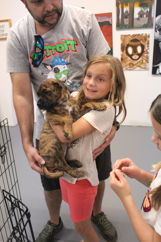 Detroit Dog Rescue puppy adoption
