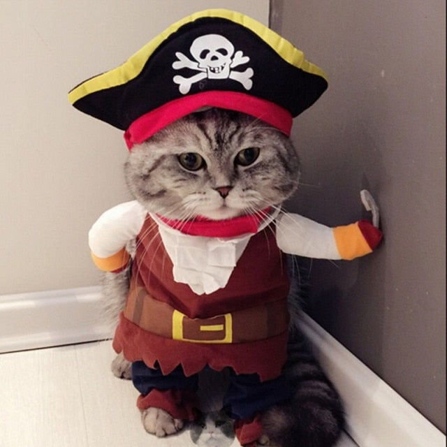Pet Pirate Suit