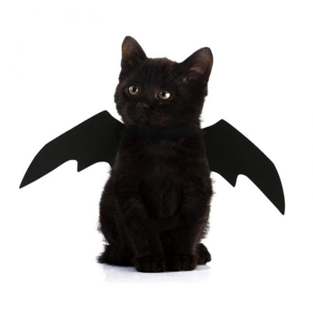 Pet Bat Wing Costume