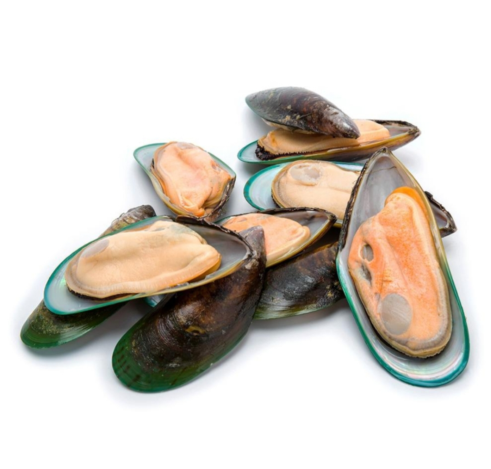 green lipped mussel benefits