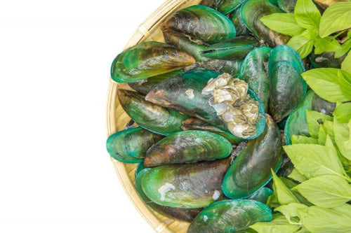 green lipped mussel benefits