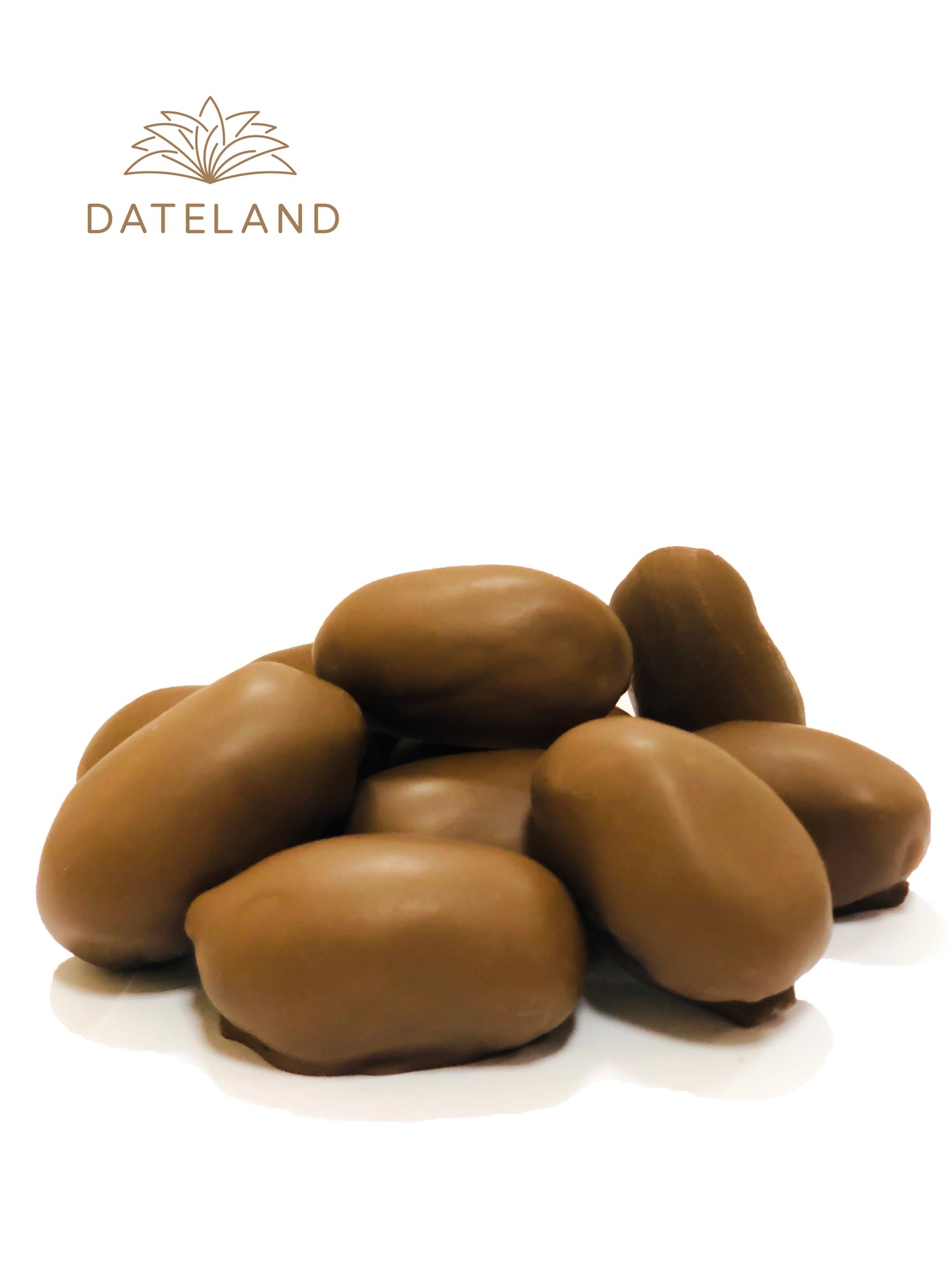 Dateland Dates and Almonds With Milk Chocolate – Nature's Choice Food