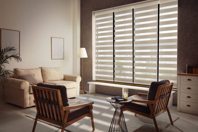 Zebra Shades: The Ultimate Solution for Light Control \u2013 BEASEN