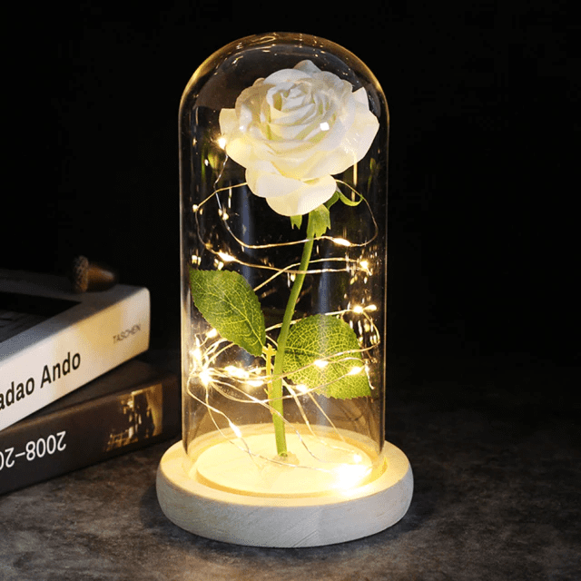 Rosa Encantada na Cúpula de Vidro – Presentoteca