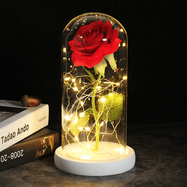 Rosa Encantada na Cúpula de Vidro – Presentoteca