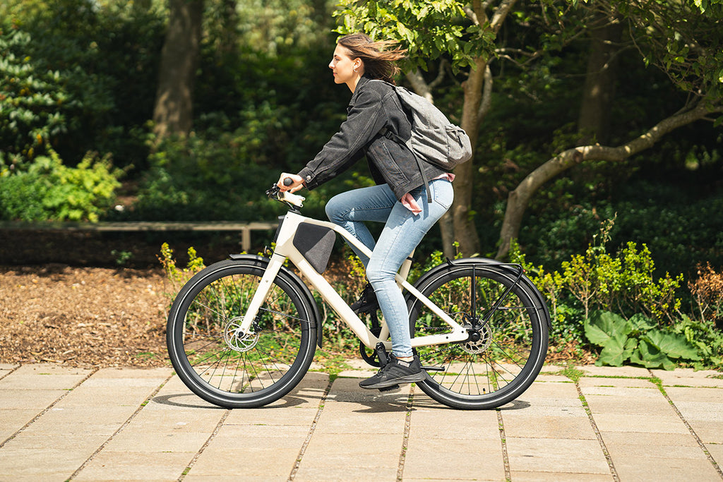 e-bike stark reduziert_e-bike damen mittelmotor_e-bike damen test.jpg