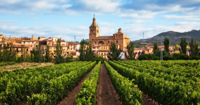 Spanischer Wein günstig kaufen