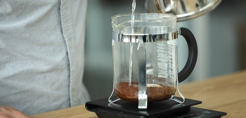 Brew Guide | French Press | Step-3
