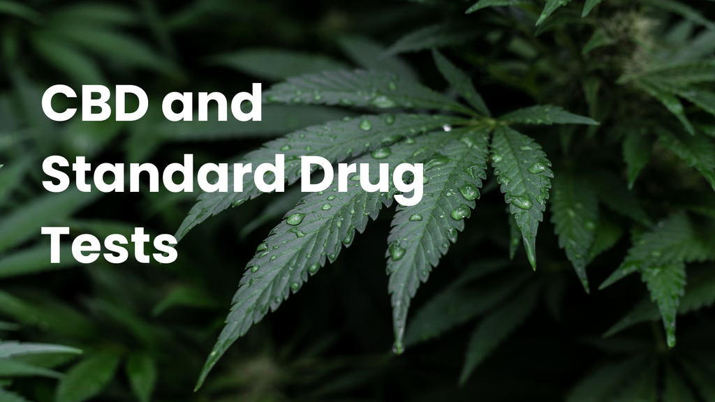 CBD and Standard Drug Tests