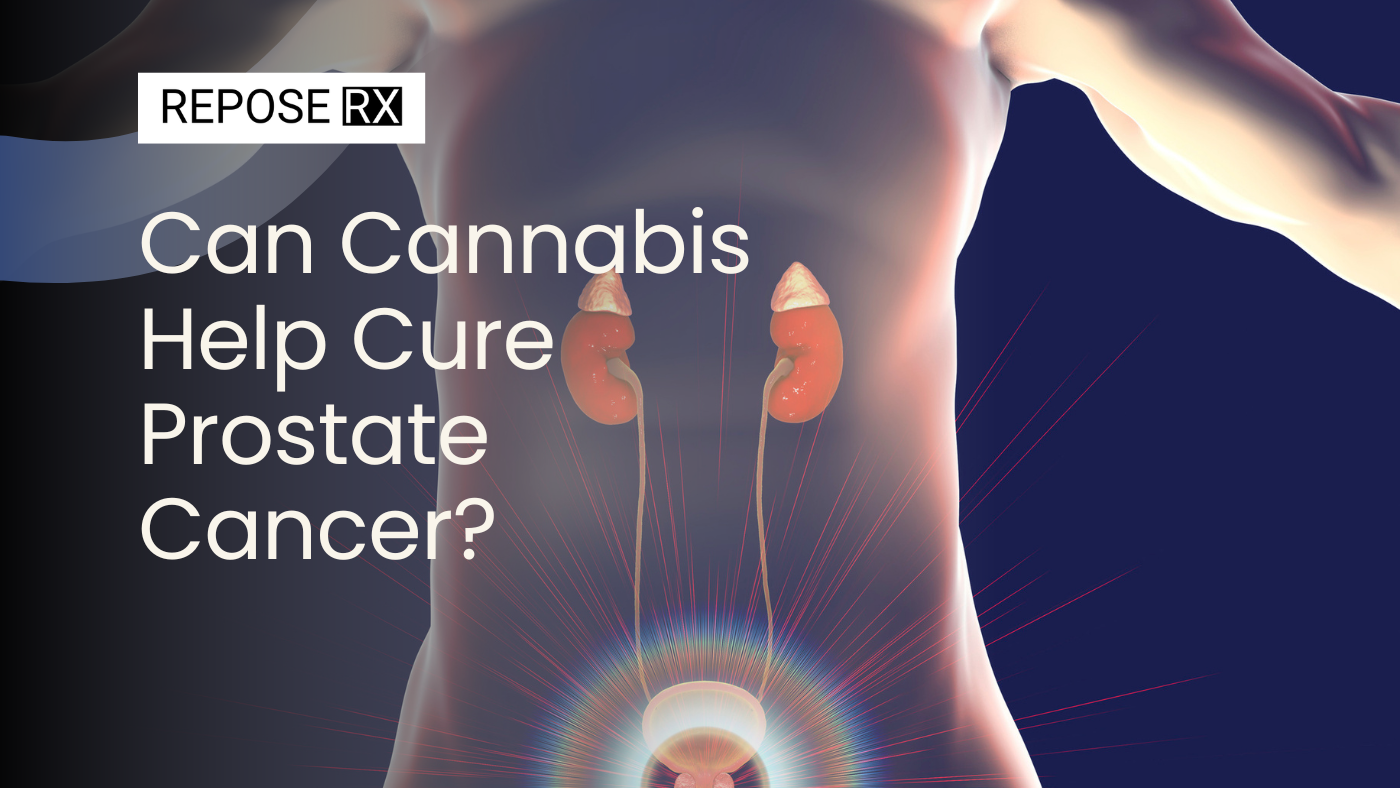 Can Cannabis Help Cure Prostate Cancer?