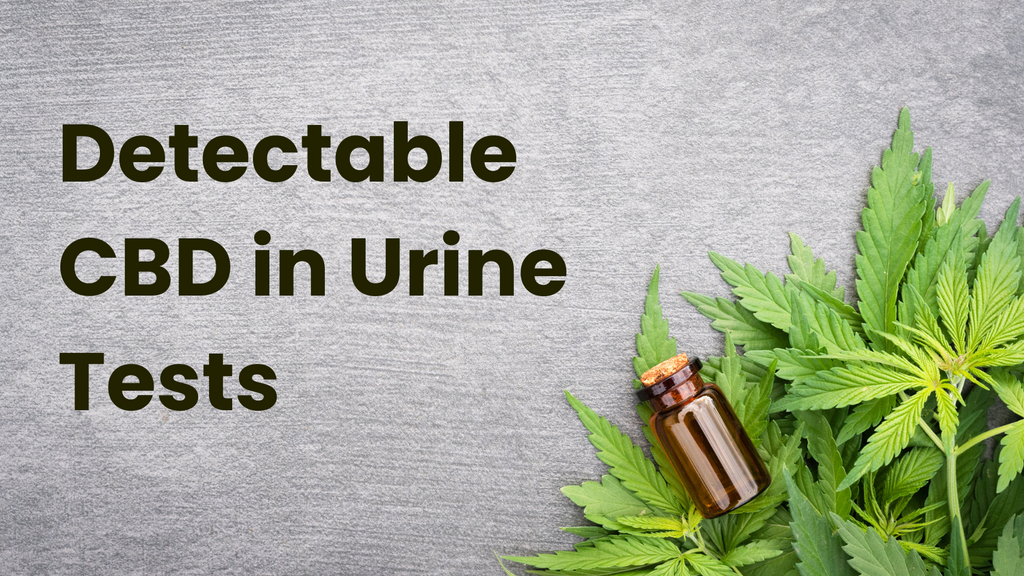 Detectable CBD in Urine Tests