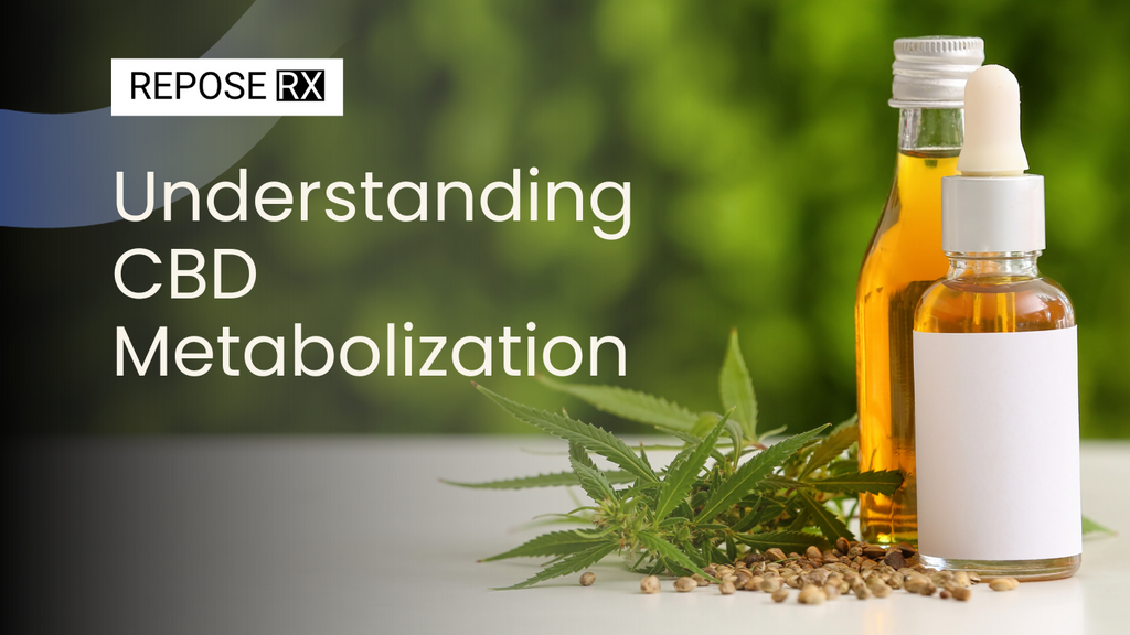 Understanding CBD Metabolization