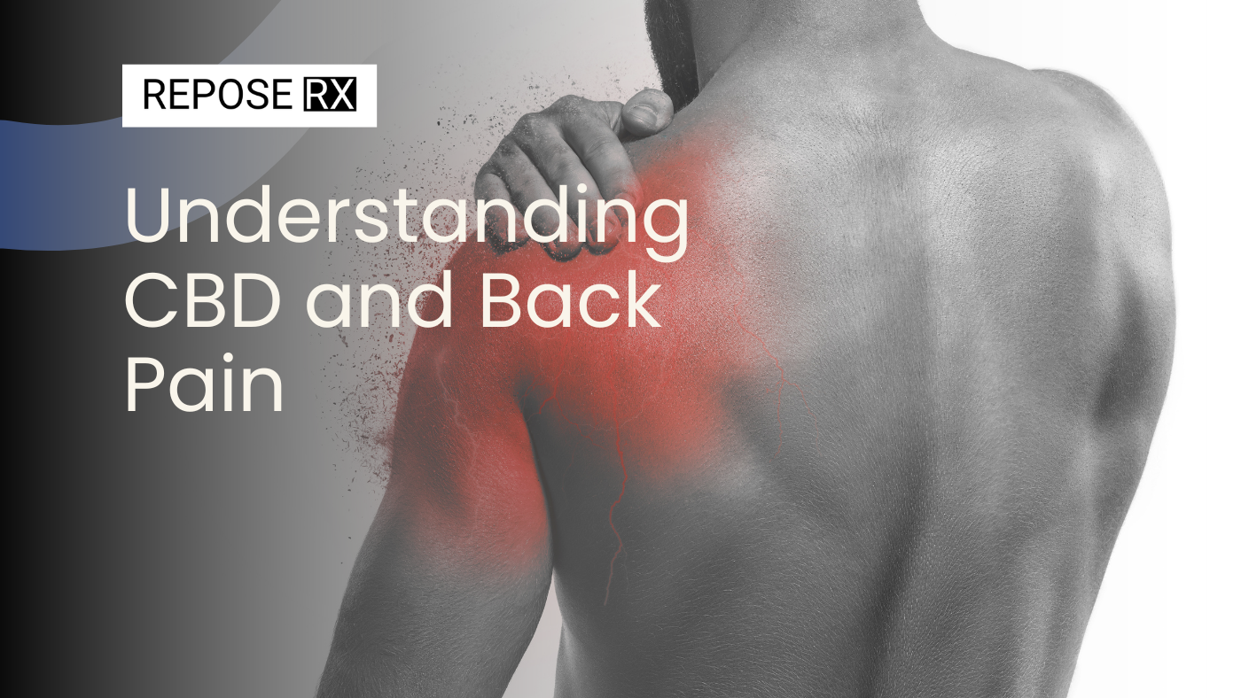 Understanding CBD and Back Pain
