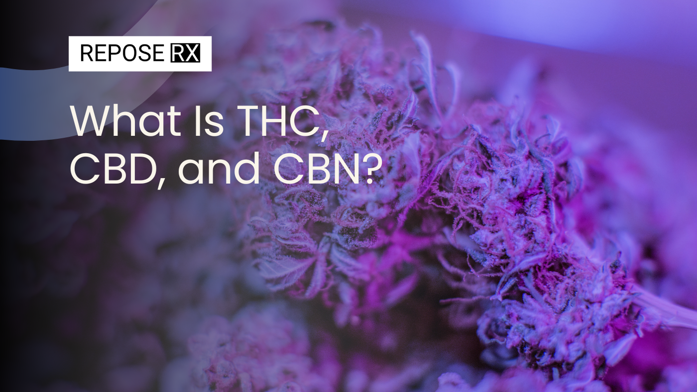 What Is THC, CBD, and CBN?