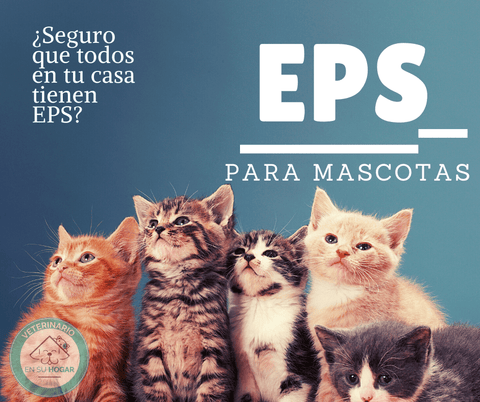 eps mascotas