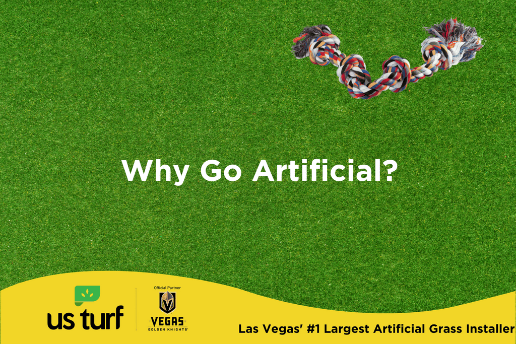 dog toys on artificial grass with Why Go Artificial? text overly