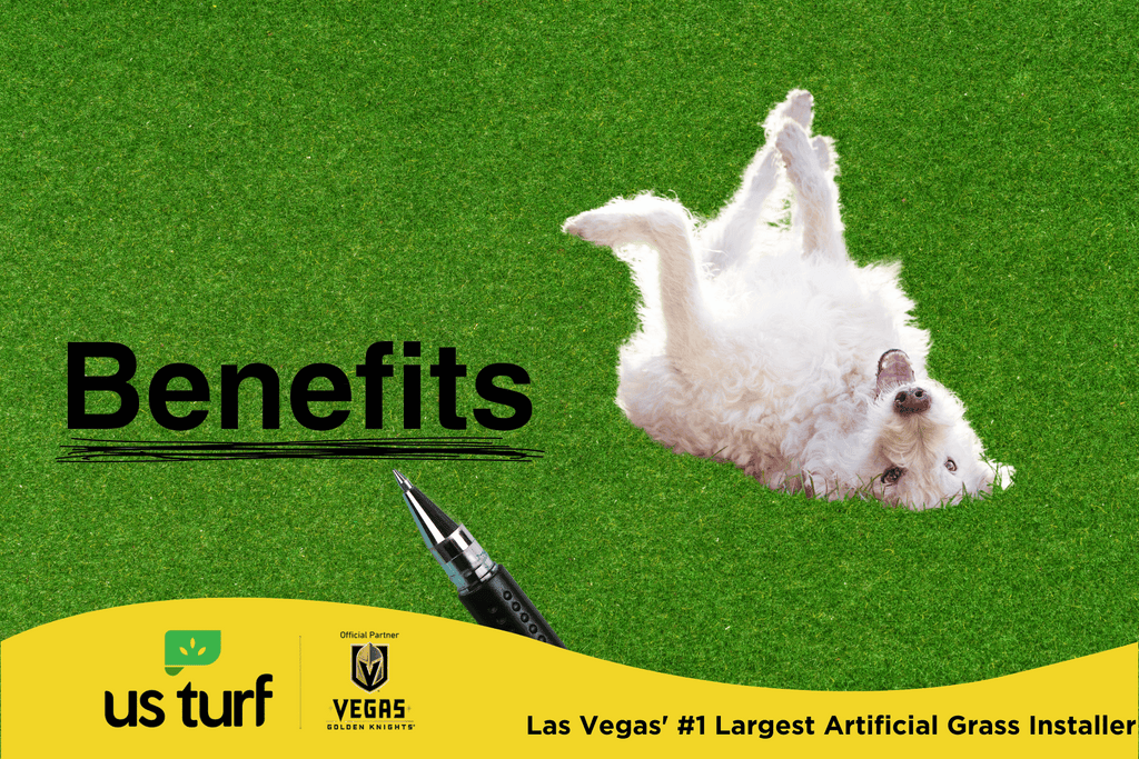 white dog laying upside down on artificial grass, word benefits written next to it