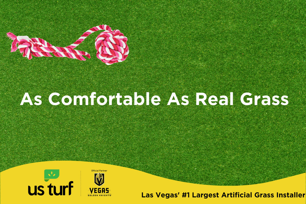 dog toys on artificial grass with As Comfortable As Real Grass text overlay