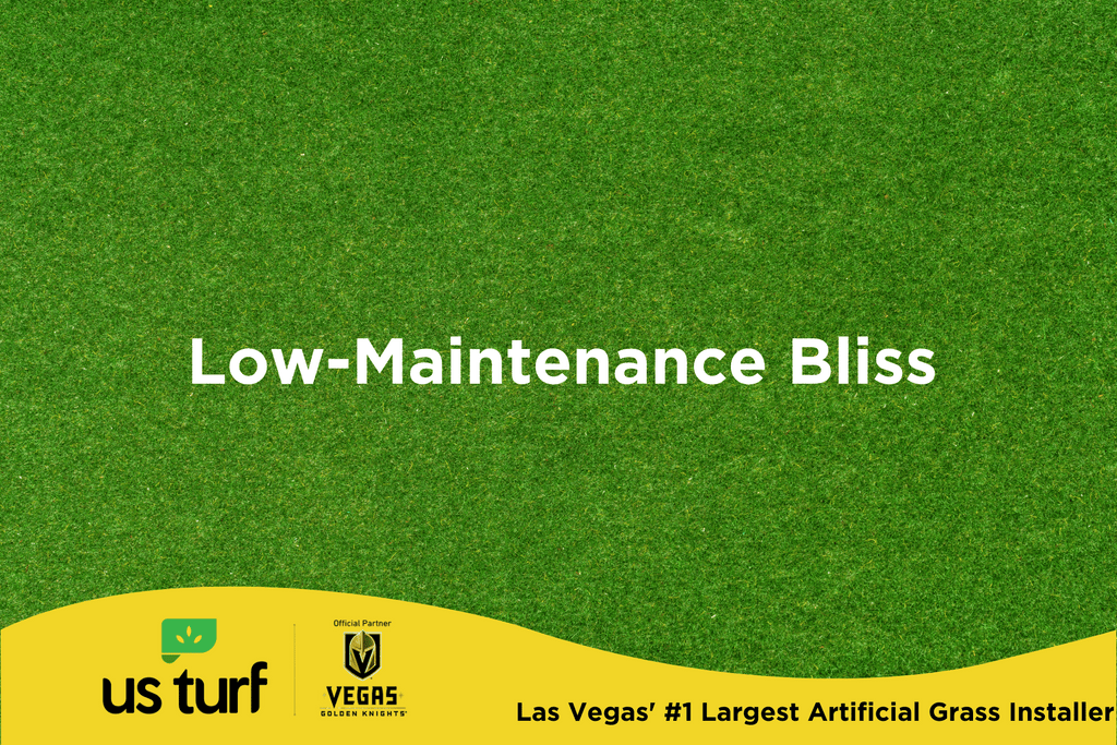 Low-Maintenance Bliss written over artificial turf
