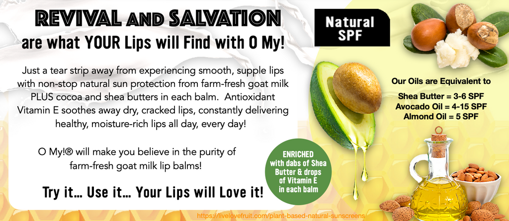 REVIVAL and SALVATION are what your lips will find with O My!  Just a tear strip away from experiencing smooth, supple lips with non-stop natural sun protection from farm-fresh goat milk PLUS cocoa and shea butter in each balm.  Antioxidant Vitamin E soothes away dry, cracked lips, constantly delivering healthy, moisture-rich lips all day, every day!  O My!® will make you believe in the purity of farm-fresh goat milk lip balms!