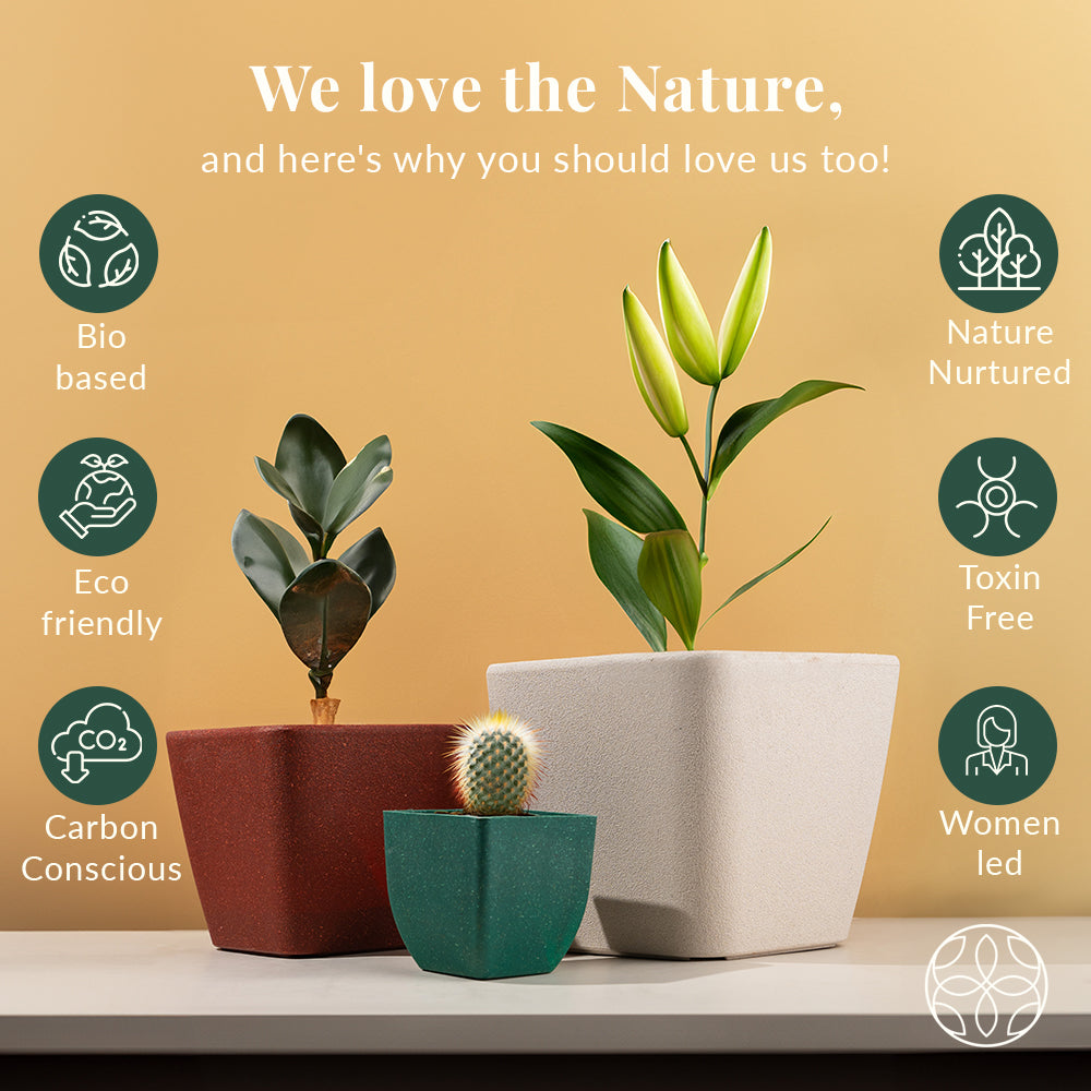 Rice Husk and Bamboo Fiber Sakura Pot and Planter - 4"- Set of 2-FOREST GREEN