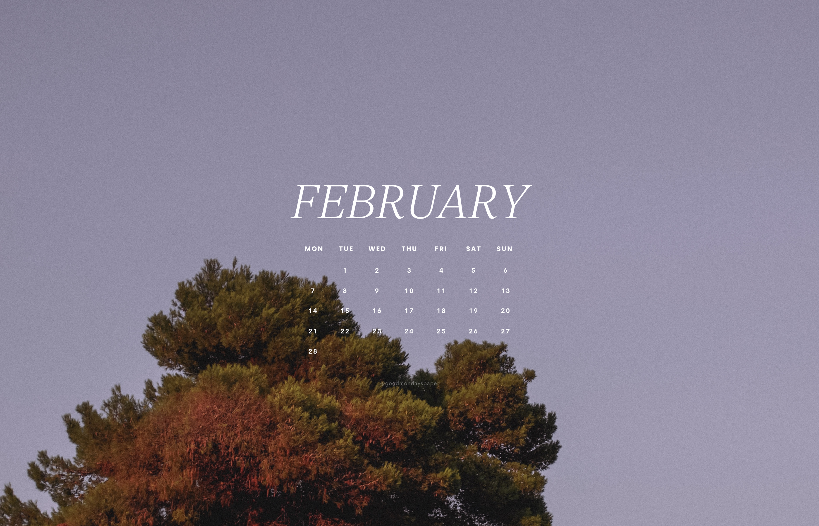 february wallpaper