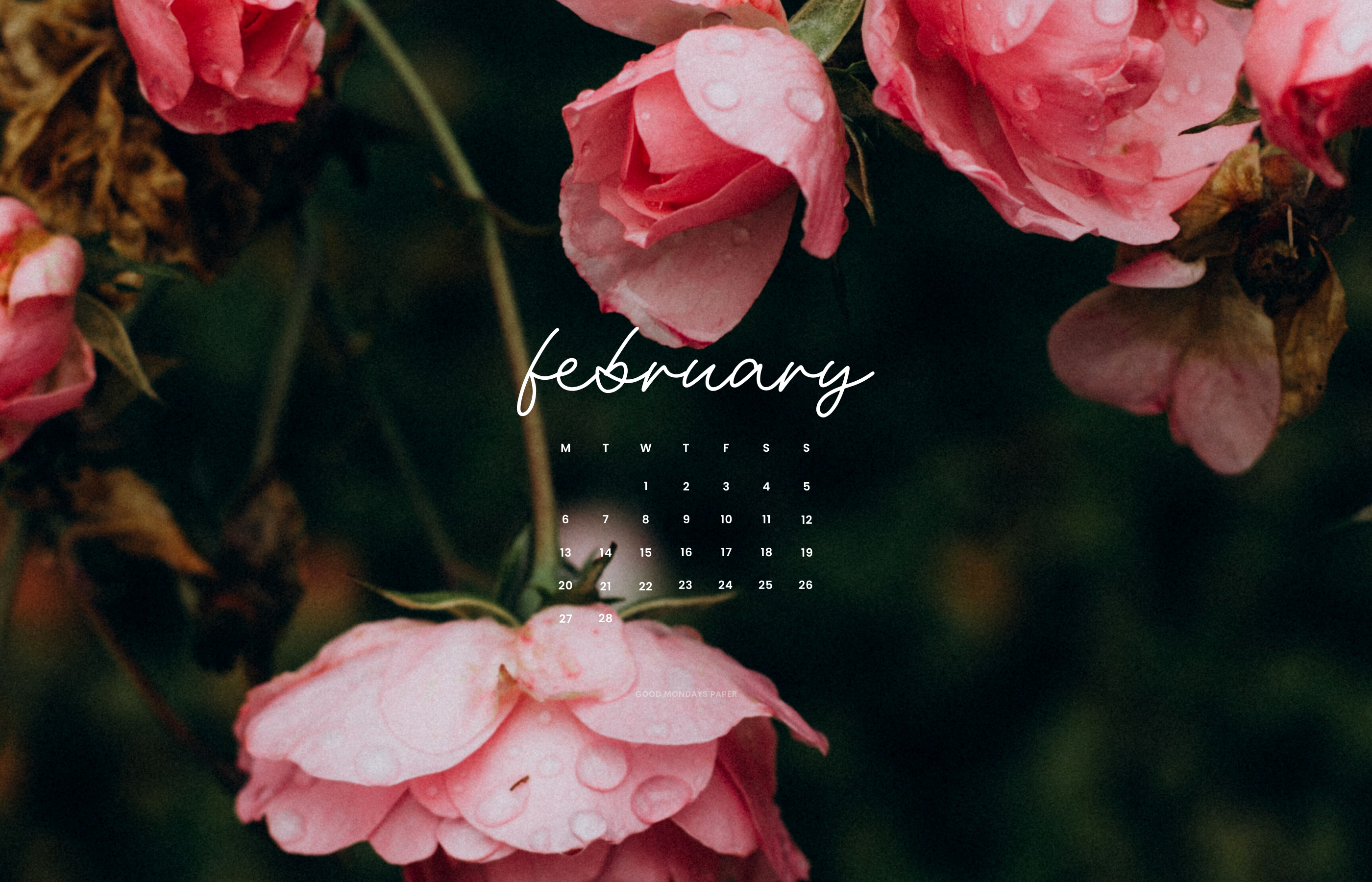 February Calendar HD wallpaper  Pxfuel