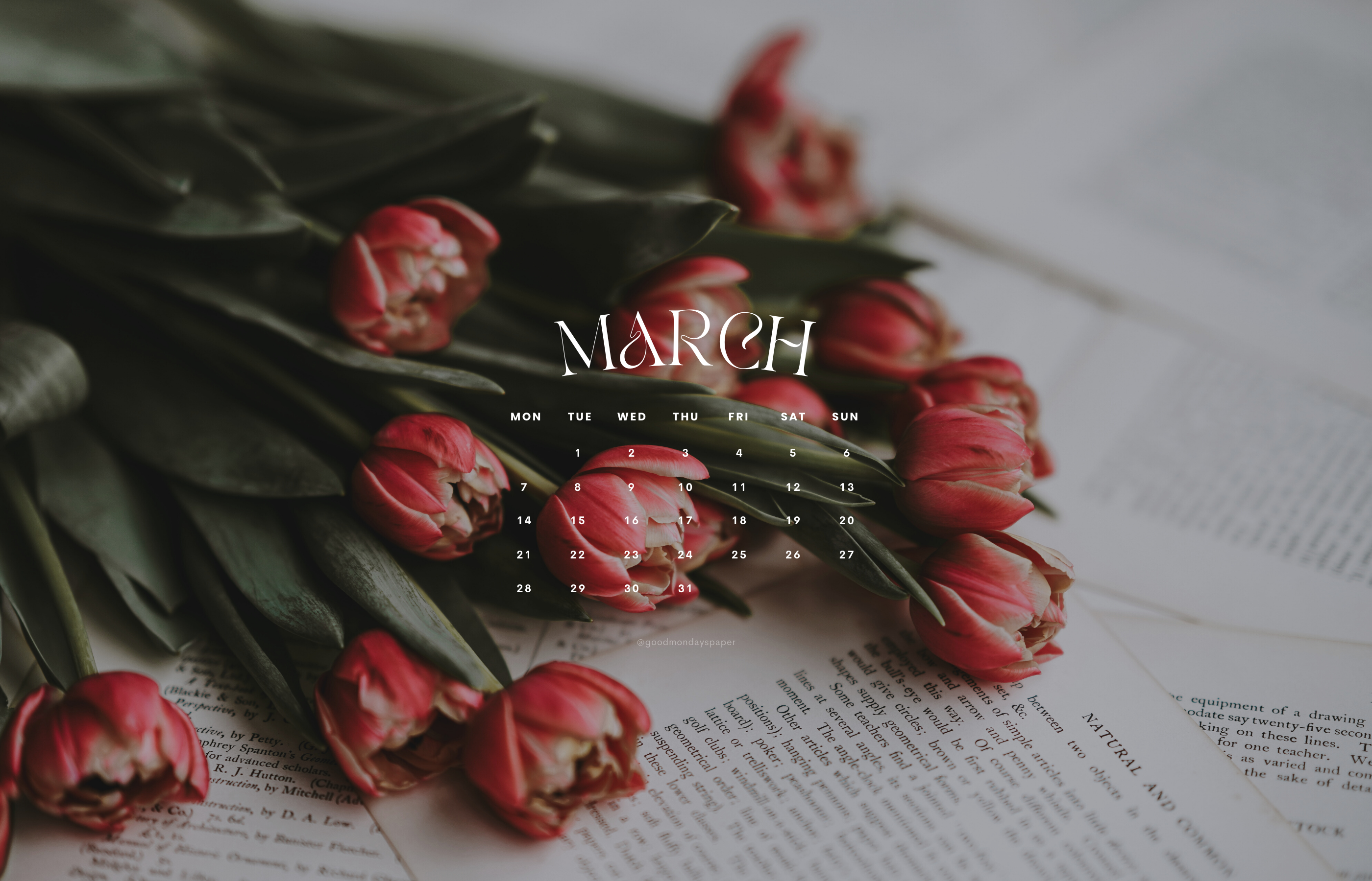 March 2022  Ladybug Desktop Calendar Free March Wallpaper